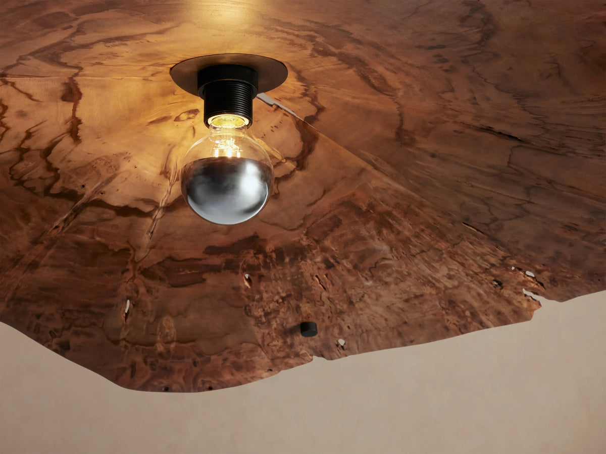 Arruga Chandelier: Organic, reddish-brown wood slice chandelier with exposed globe bulb, suspended by thin cables against a beige wall.