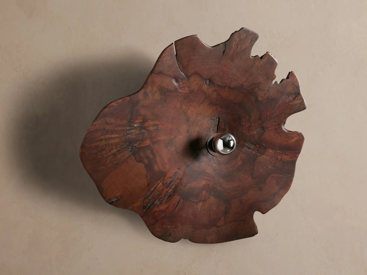 Arruga Sconce: Irregular dark brown milpa wood slice sconce with a glowing metallic-dipped bulb in the center, mounted on a neutral wall.