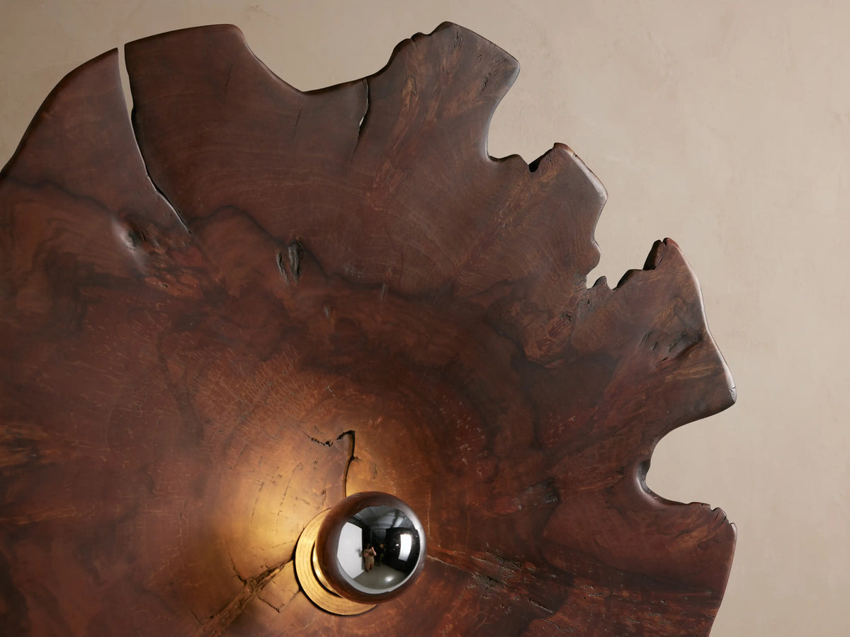 Arruga Sconce: Irregular dark reddish-brown wood slice with natural grain and edges, a metallic bulb in its center on a light wall.
