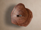 Arruga Sconce: Irregular natural wood slice with visible grain and cracks, light bulb glowing warmly in the center, mounted on a neutral wall.