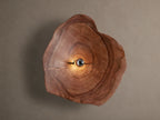Arruga Sconce: Irregular natural wood slice with visible grain and cracks, light bulb glowing warmly in the center, mounted on a neutral wall.