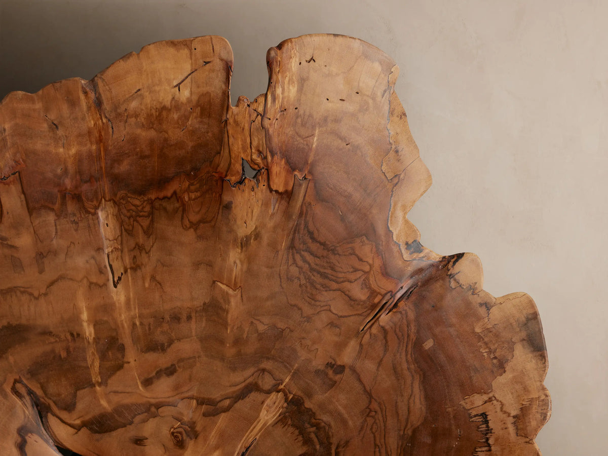 Arruga Sconce: Large, rough-edged, round milpa wood slice with rich brown grain on a beige wall. Central silver metallic bulb.