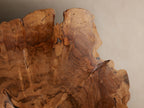Arruga Sconce: Large, rough-edged, round milpa wood slice with rich brown grain on a beige wall. Central silver metallic bulb.