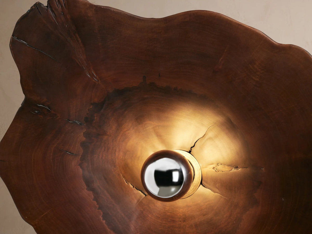 Arruga Sconce: Dark, organically shaped milpa wood dome with an irregular edge, showcasing a metallic-dipped bulb at its center.