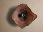 Arruga Sconce: Organic milpa wood sconce, dark brown with natural cracks, featuring a metallic silver bulb glowing golden on a taupe wall.